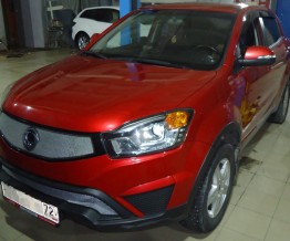 Ssang Yong Action